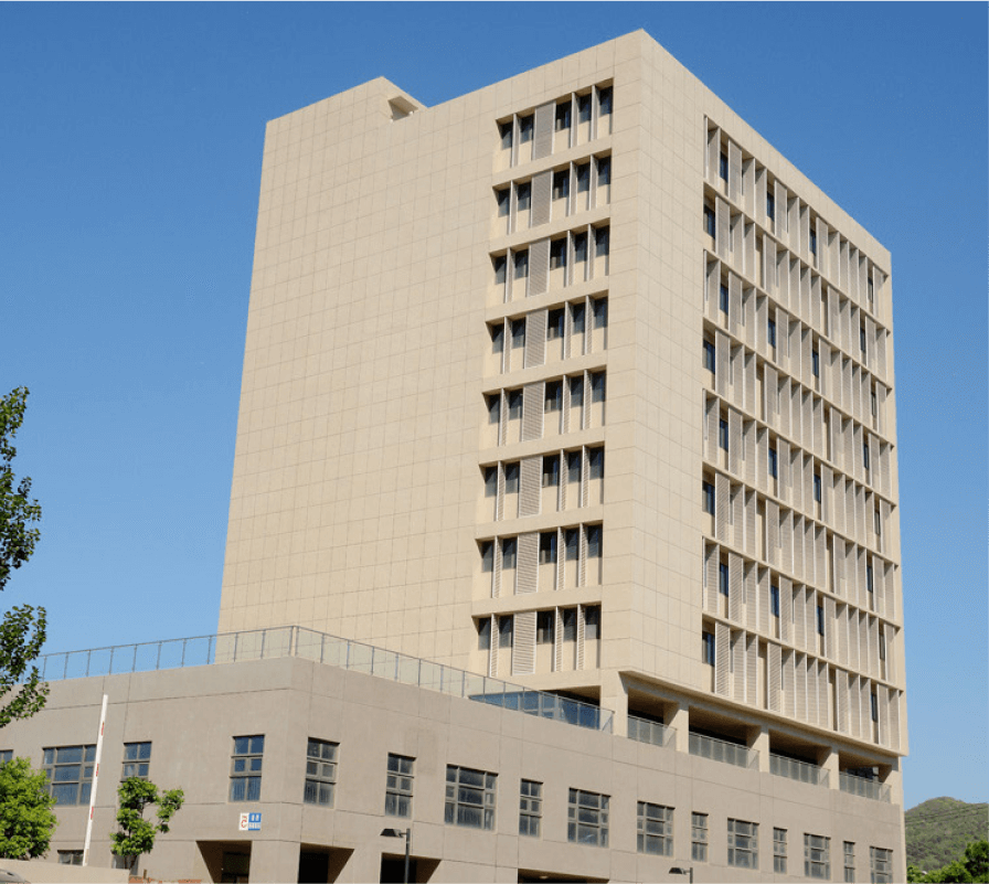 Ceramic Tile adhesive C1